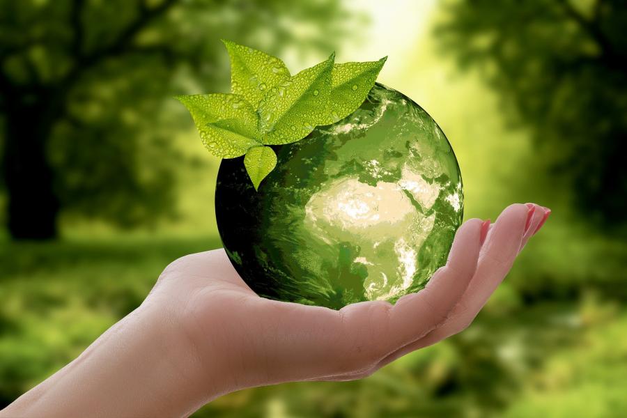Priroda_Zem_sustainability